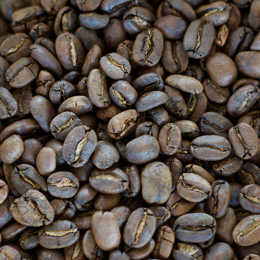 Sumatran Aceh Gayo