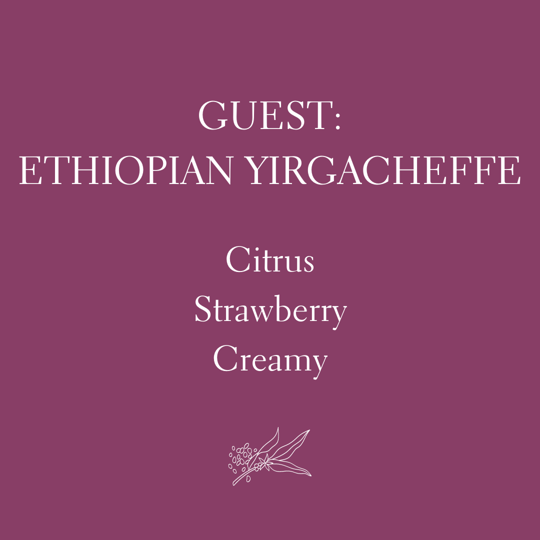 Ethiopian Yirgacheffe  (Limited)