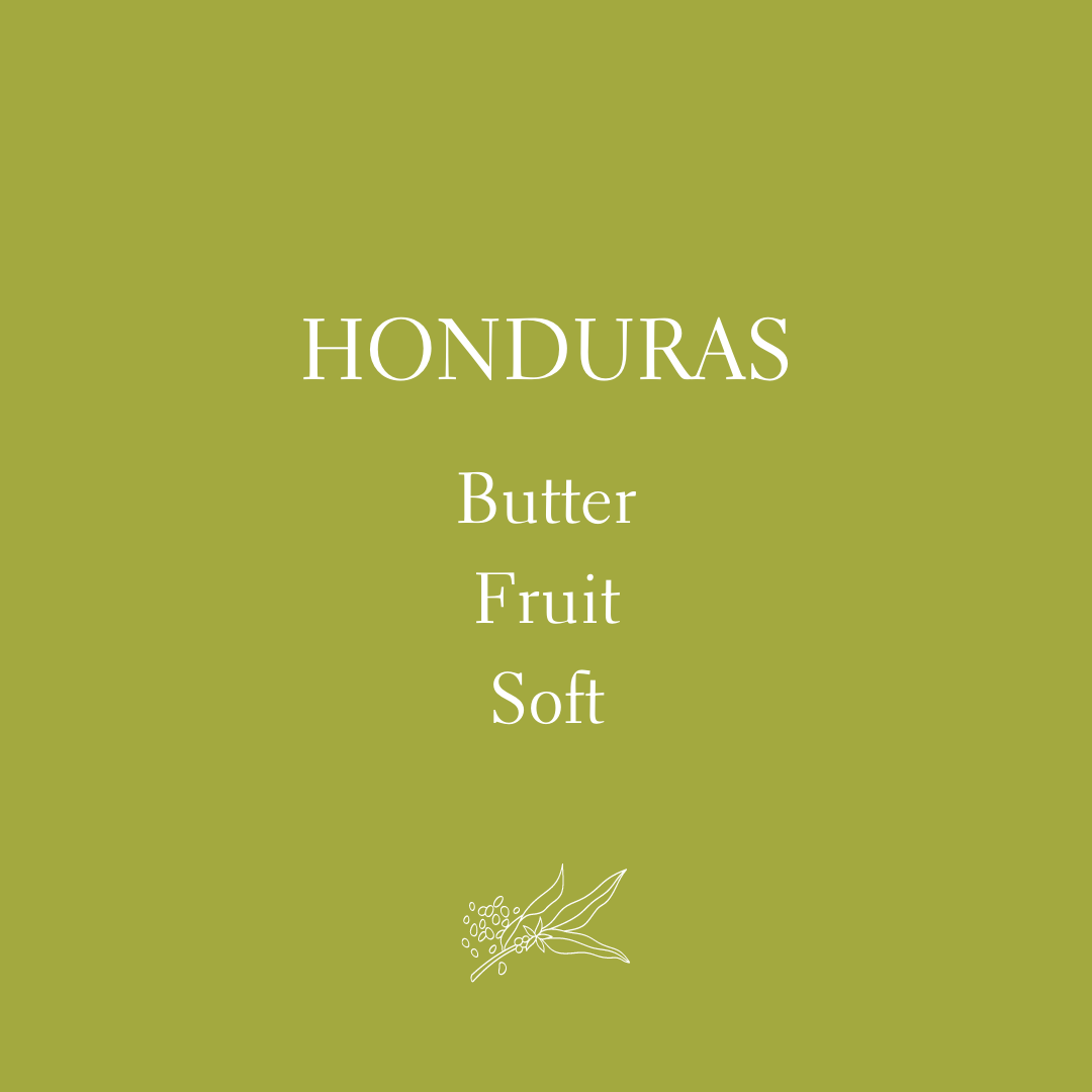 Honduras Organic