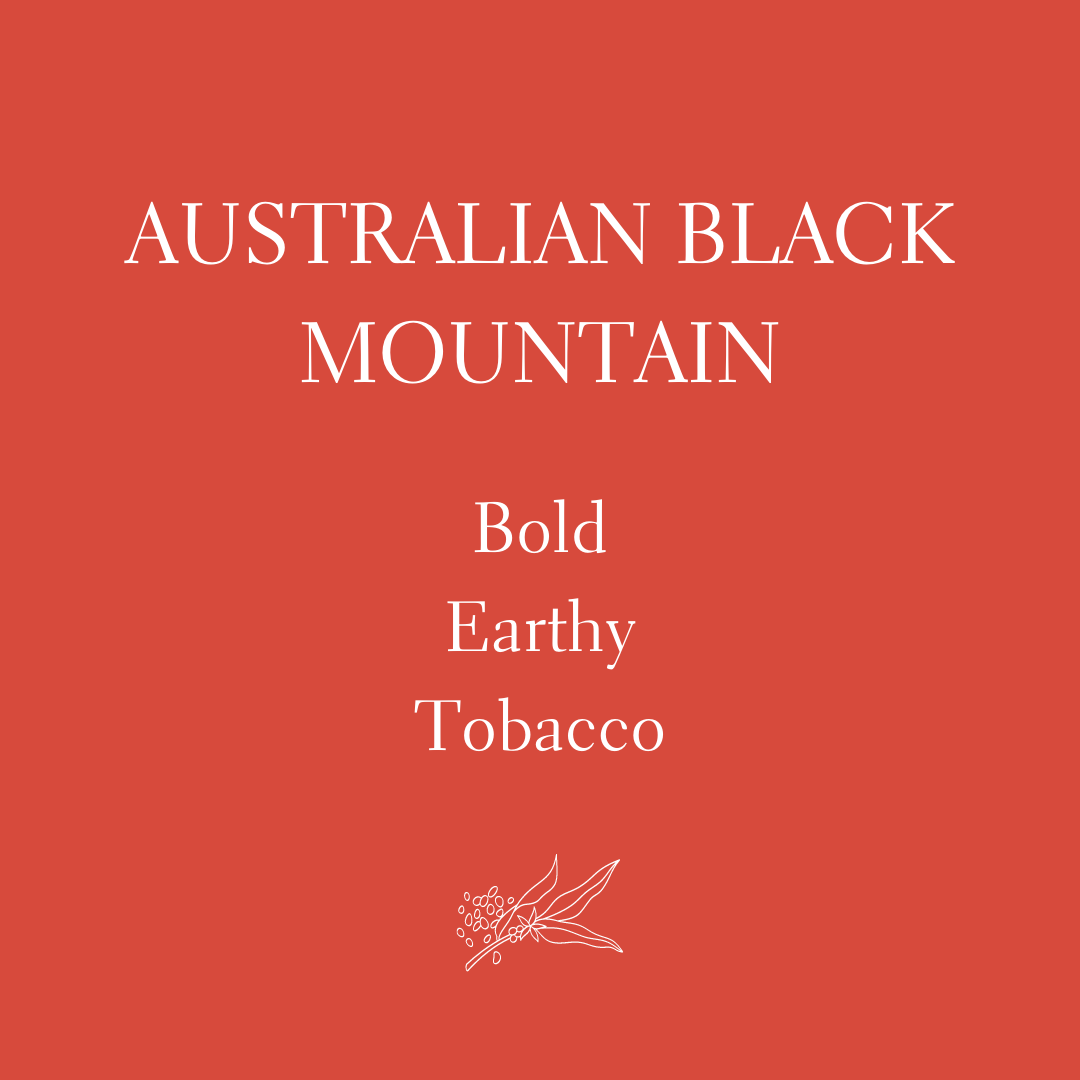 Australian Black Mountain