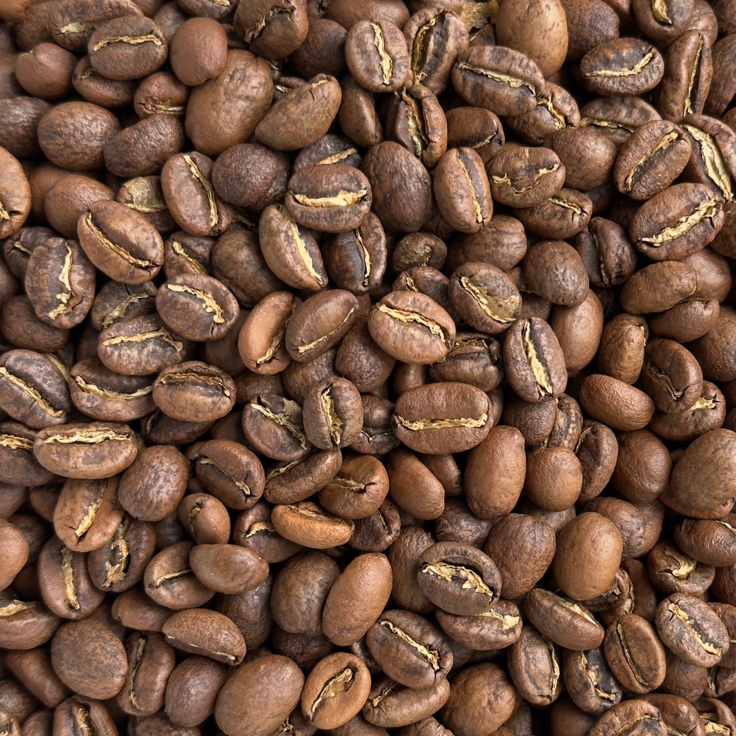 Panama 'Gran Del Val' Rainforest Alliance