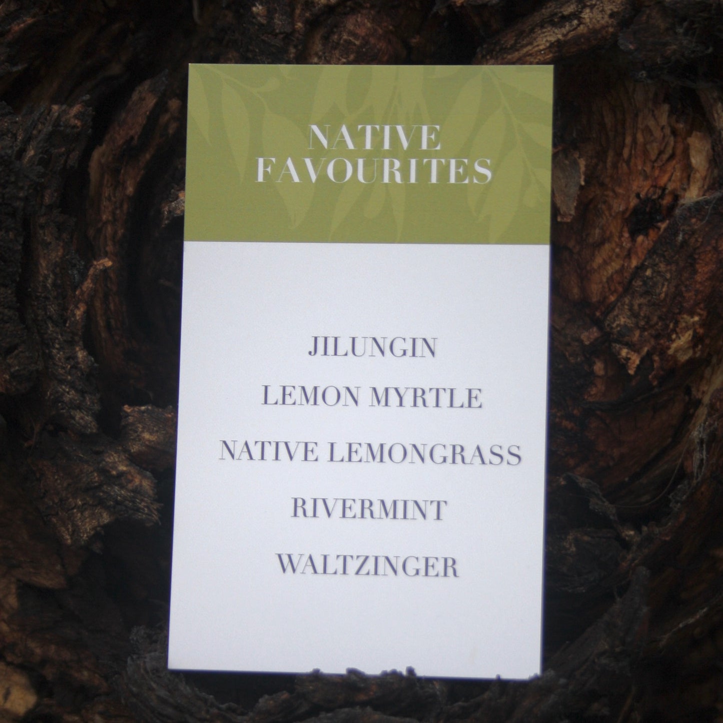 Native Favourites Tea Pack