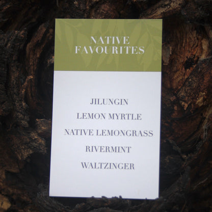Native Favourites Tea Pack