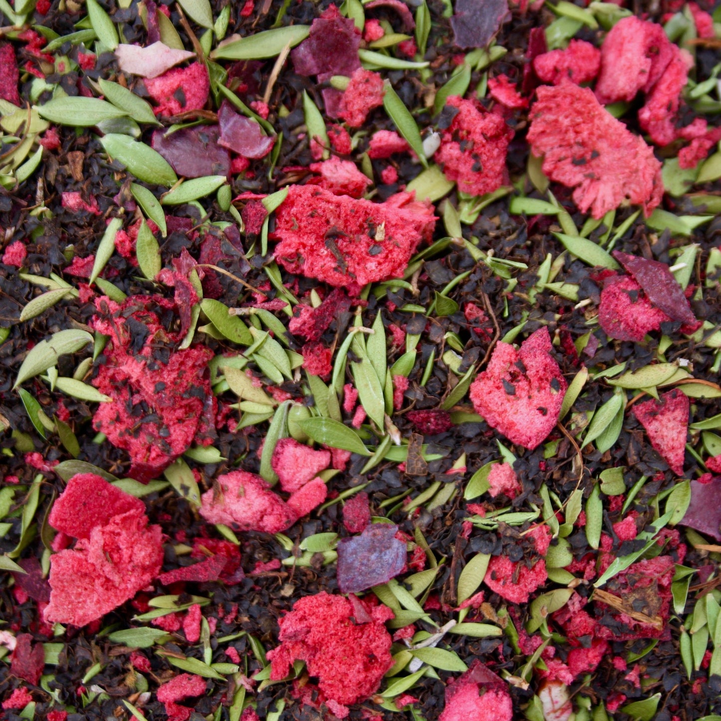 davidson plum manuka Daintree tea