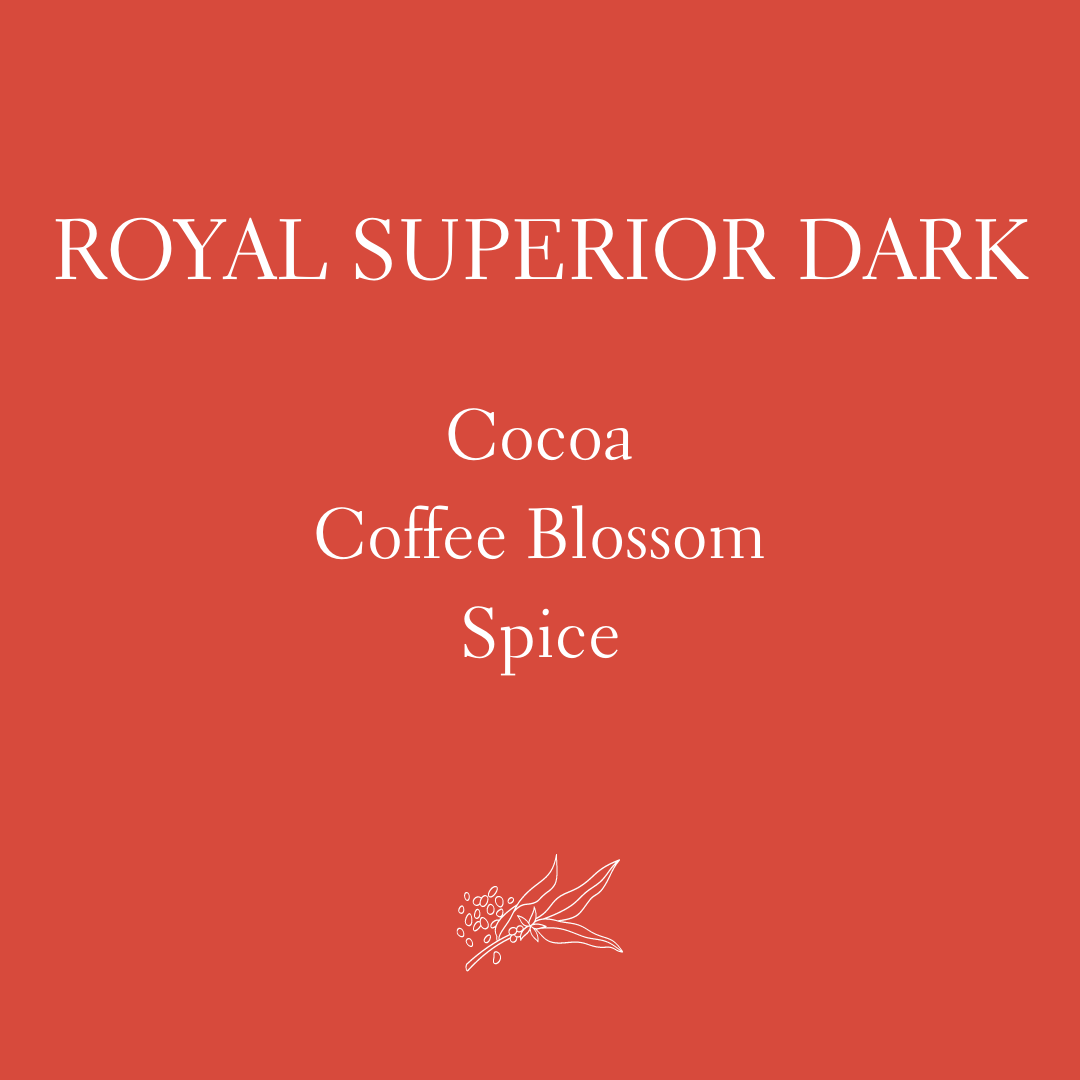 Royal Superior Dark