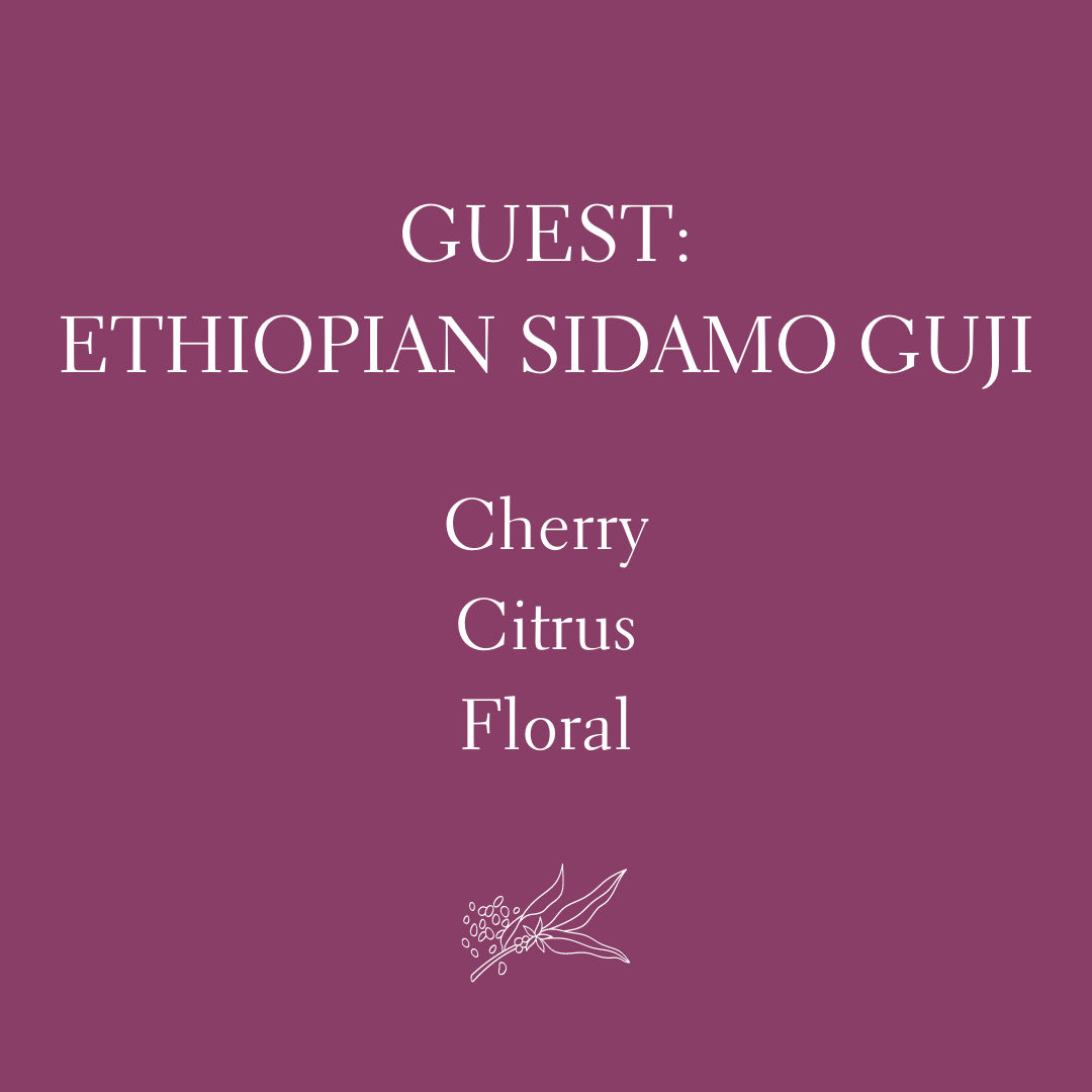 Ethiopian Sidamo Guji (Limited)
