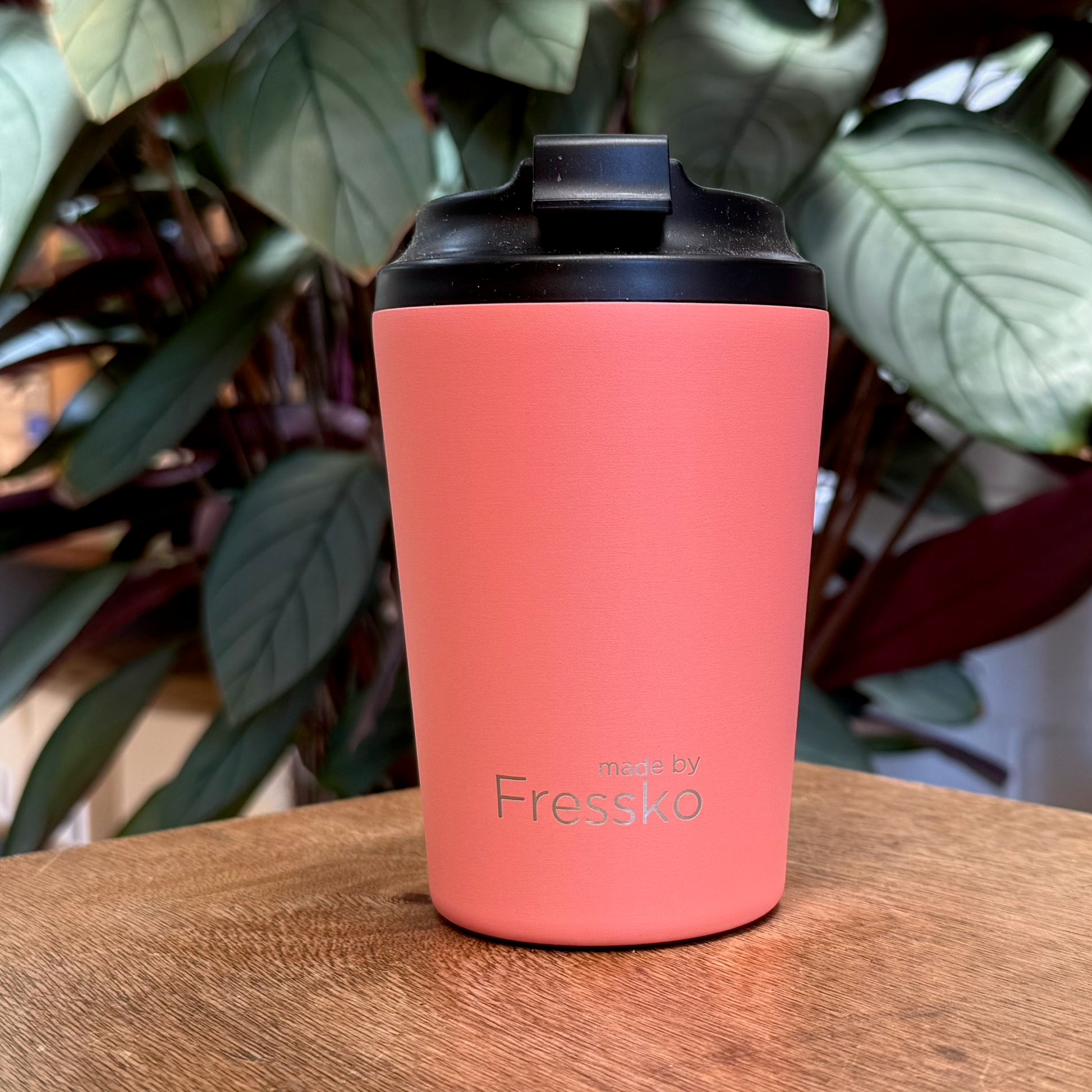 fressko coral pink