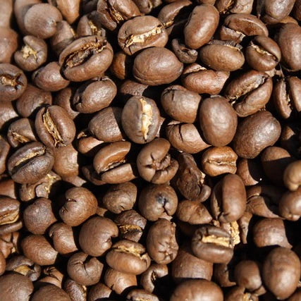 Limited: Ethiopian Xinoo Peaberry