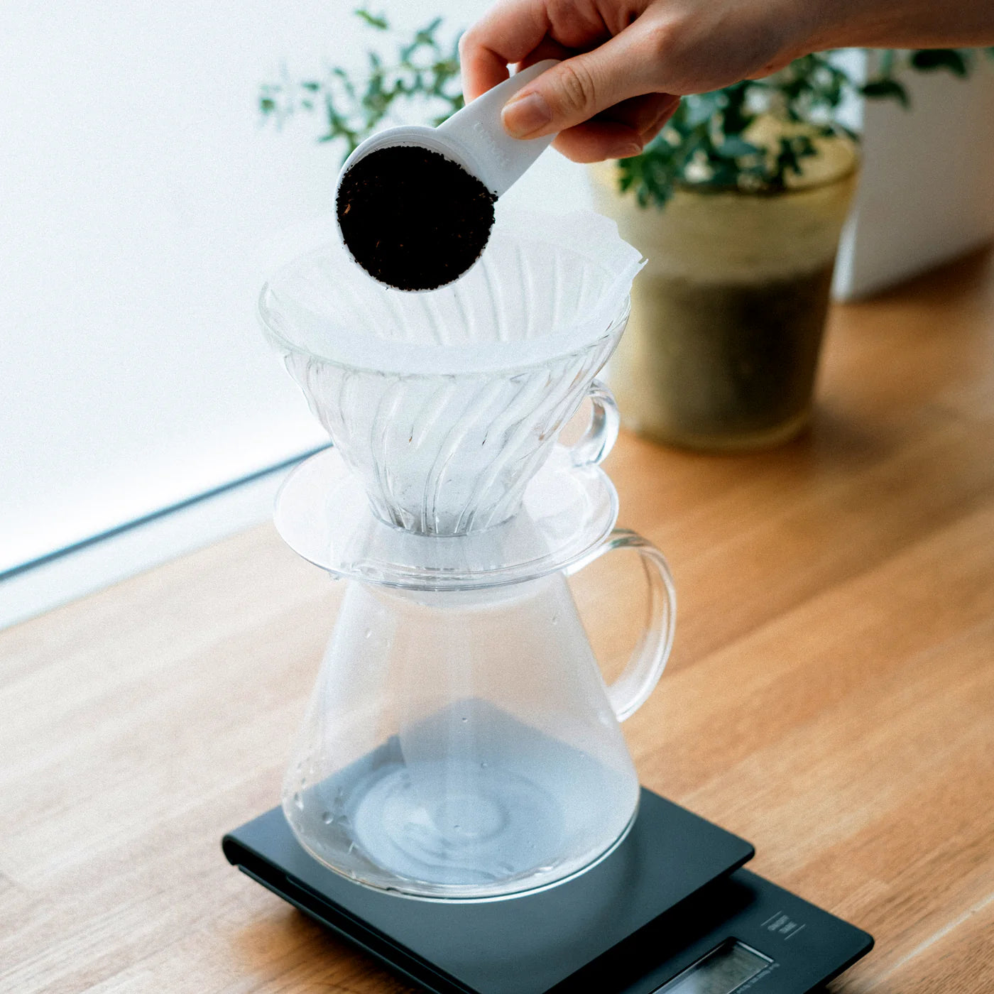 Hario Simply V60 Glass Brewing Kit