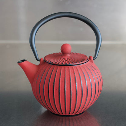 CAST IRON TEAPOTS