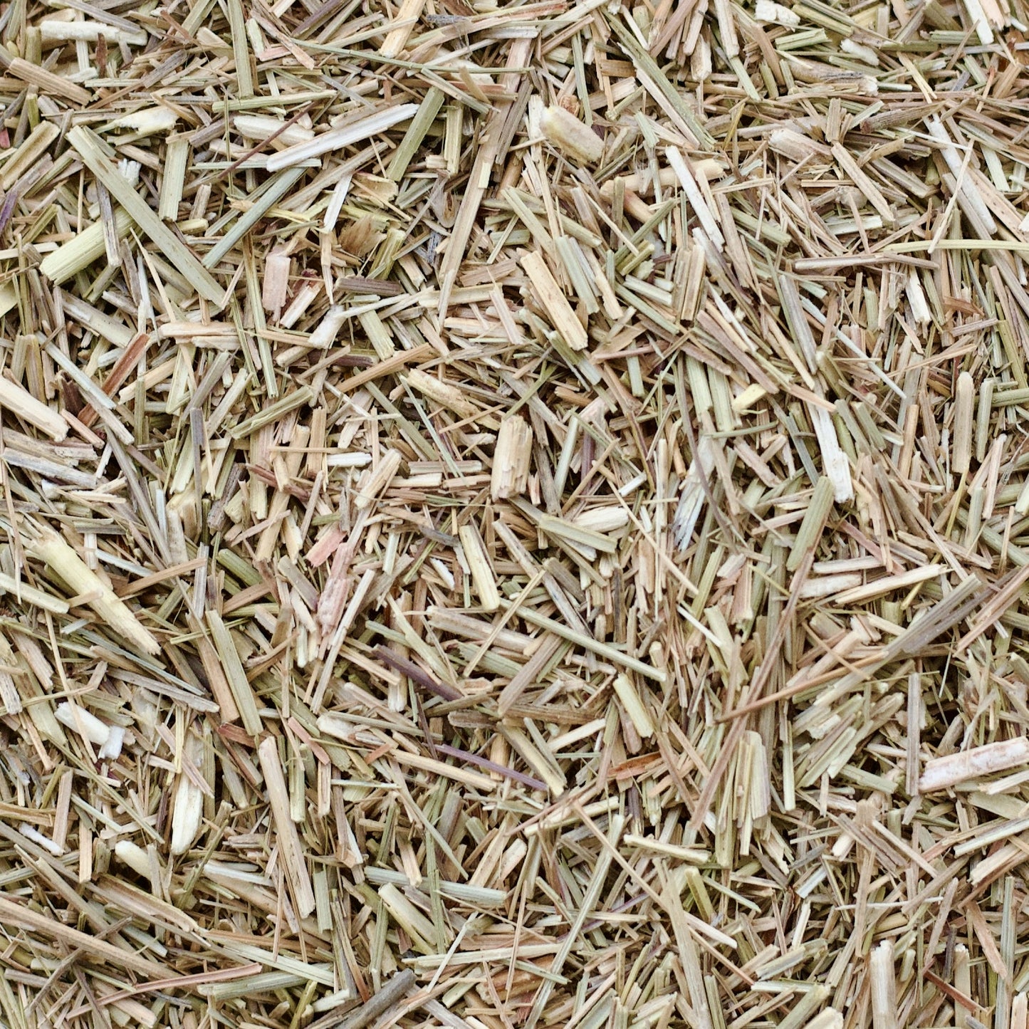 Native Lemongrass